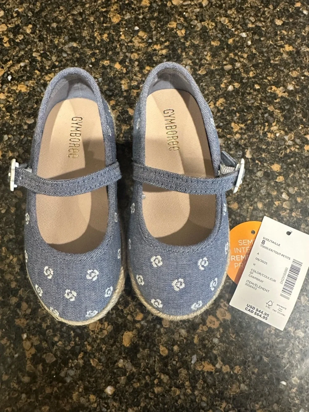 Gymboree Denim Blue Floral Mary‎ Jane Shoes